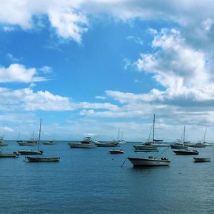 Meet your Posher, Jingyi